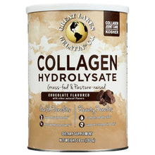 Load image into Gallery viewer, GREAT LAKES: Collagen Pwdr Chocolate, 10 oz